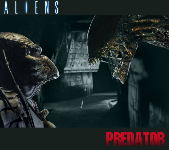 Alien & Predator