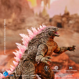 Godzilla Evolved Godzilla x Kong: The New Empire Hiya Toys