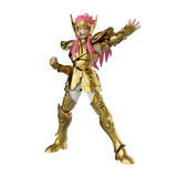 Aquarius Camus Saint Seiya Champion Class 08  Blokees