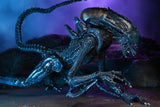 Alien vs. Predator Arachnoid (Movie Deco) Xenomorph