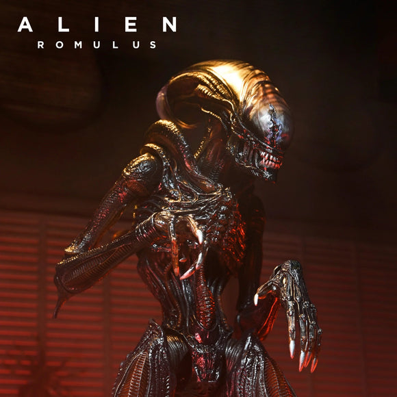 Alien: Romulus Ultimate Scorched Alien Xenomorph NECA