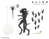 Alien: Romulus Ultimate Scorched Alien Xenomorph NECA
