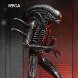 Alien: Romulus - Ultimate Xenomorph XX121 NECA