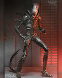 Alien: Romulus - Ultimate Xenomorph XX121 NECA