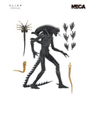 Alien: Romulus - Ultimate Xenomorph XX121 NECA