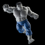 Gray Hulk and Dr. Bruce Banner, Avengers 60th Anniversary Marvel Legends Series