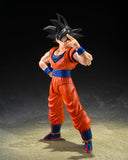 Goku Kind-hearted Saiyan S.H. Figuarts Dragon Ball Z Bandai