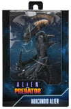 Alien vs. Predator Arachnoid (Movie Deco) Xenomorph