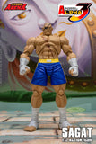 SAGAT - Street Fighter Alpha 3 STORM ARENA 1/12