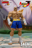 SAGAT - Street Fighter Alpha 3 STORM ARENA 1/12