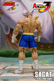 SAGAT - Street Fighter Alpha 3 STORM ARENA 1/12