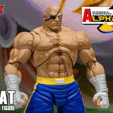 SAGAT - Street Fighter Alpha 3 STORM ARENA 1/12