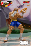 SAGAT - Street Fighter Alpha 3 STORM ARENA 1/12
