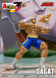 SAGAT - Street Fighter Alpha 3 STORM ARENA 1/12