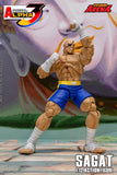 SAGAT - Street Fighter Alpha 3 STORM ARENA 1/12