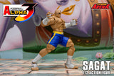 SAGAT - Street Fighter Alpha 3 STORM ARENA 1/12