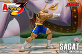 SAGAT - Street Fighter Alpha 3 STORM ARENA 1/12