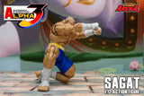 SAGAT - Street Fighter Alpha 3 STORM ARENA 1/12