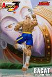 SAGAT - Street Fighter Alpha 3 STORM ARENA 1/12