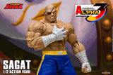 SAGAT - Street Fighter Alpha 3 STORM ARENA 1/12