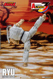 Ryu Storm Arena Street Fighter Alpha 3