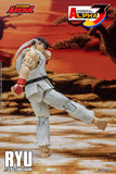 Ryu Storm Arena Street Fighter Alpha 3