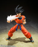 S.H.Figuarts Set de efectos para Son Goku "Dragon Ball Z"