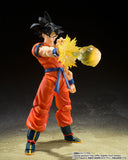 S.H.Figuarts Set de efectos para Son Goku "Dragon Ball Z"