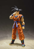 Dragon Ball Z: A Saiyan Raised On Earth Son Goku