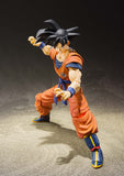 Dragon Ball Z: A Saiyan Raised On Earth Son Goku