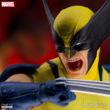 Wolverine - Deluxe Steel Box Edition 1/12